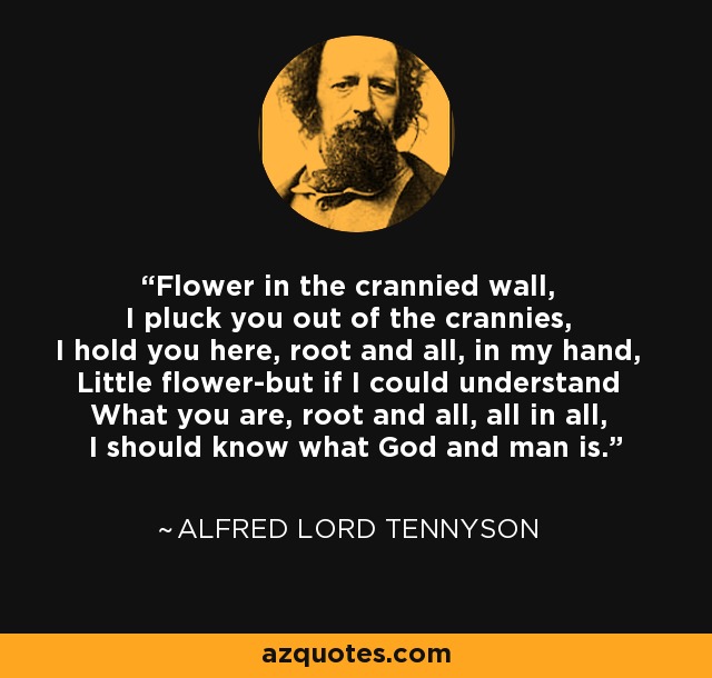 Flower in the crannied wall, I pluck you out of the crannies, I hold you here, root and all, in my hand, Little flower-but if I could understand What you are, root and all, all in all, I should know what God and man is. - Alfred Lord Tennyson