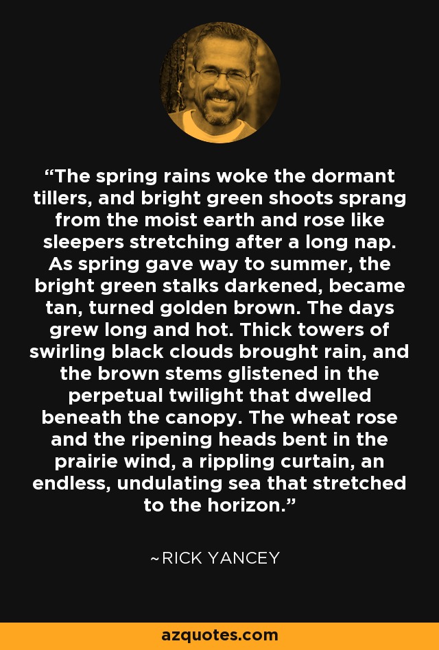 The spring rains woke the dormant tillers, and bright green shoots sprang from the moist earth and rose like sleepers stretching after a long nap. As spring gave way to summer, the bright green stalks darkened, became tan, turned golden brown. The days grew long and hot. Thick towers of swirling black clouds brought rain, and the brown stems glistened in the perpetual twilight that dwelled beneath the canopy. The wheat rose and the ripening heads bent in the prairie wind, a rippling curtain, an endless, undulating sea that stretched to the horizon. - Rick Yancey