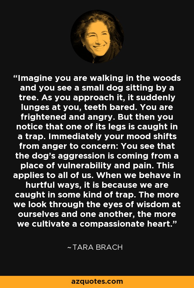 Imagine you are walking in the woods and you see a small dog sitting by a tree. As you approach it, it suddenly lunges at you, teeth bared. You are frightened and angry. But then you notice that one of its legs is caught in a trap. Immediately your mood shifts from anger to concern: You see that the dog's aggression is coming from a place of vulnerability and pain. This applies to all of us. When we behave in hurtful ways, it is because we are caught in some kind of trap. The more we look through the eyes of wisdom at ourselves and one another, the more we cultivate a compassionate heart. - Tara Brach