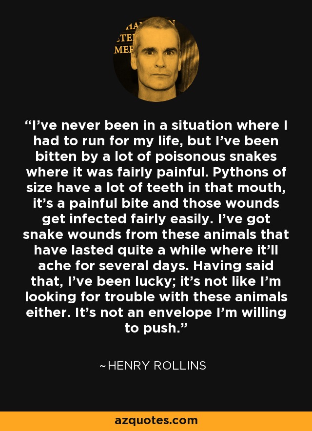 I've never been in a situation where I had to run for my life, but I've been bitten by a lot of poisonous snakes where it was fairly painful. Pythons of size have a lot of teeth in that mouth, it's a painful bite and those wounds get infected fairly easily. I've got snake wounds from these animals that have lasted quite a while where it'll ache for several days. Having said that, I've been lucky; it's not like I'm looking for trouble with these animals either. It's not an envelope I'm willing to push. - Henry Rollins