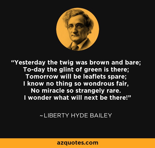 Yesterday the twig was brown and bare; To-day the glint of green is there; Tomorrow will be leaflets spare; I know no thing so wondrous fair, No miracle so strangely rare. I wonder what will next be there! - Liberty Hyde Bailey