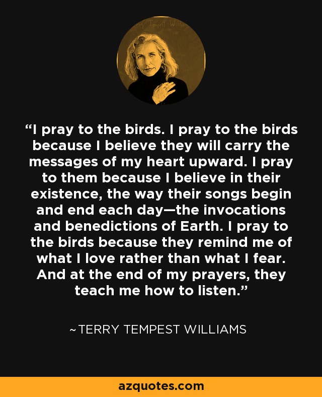 I pray to the birds. I pray to the birds because I believe they will carry the messages of my heart upward. I pray to them because I believe in their existence, the way their songs begin and end each day—the invocations and benedictions of Earth. I pray to the birds because they remind me of what I love rather than what I fear. And at the end of my prayers, they teach me how to listen. - Terry Tempest Williams