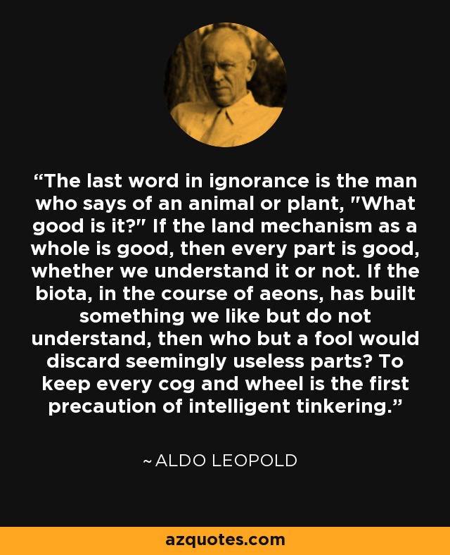 The last word in ignorance is the man who says of an animal or plant, 