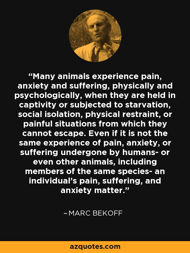 Many animals experience pain, anxiety and suffering, physically and psychologically, when they are held in captivity or subjected to starvation, social isolation, physical restraint, or painful situations from which they cannot escape. Even if it is not the same experience of pain, anxiety, or suffering undergone by humans- or even other animals, including members of the same species- an individual's pain, suffering, and anxiety matter. - Marc Bekoff