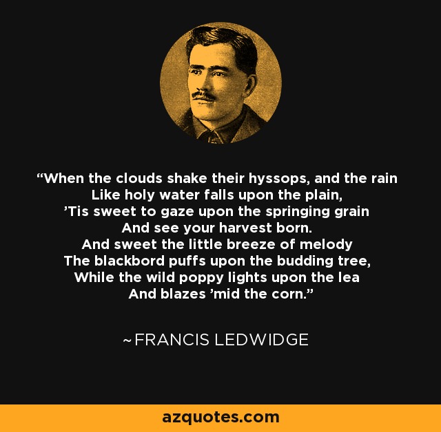 When the clouds shake their hyssops, and the rain Like holy water falls upon the plain, 'Tis sweet to gaze upon the springing grain And see your harvest born. And sweet the little breeze of melody The blackbord puffs upon the budding tree, While the wild poppy lights upon the lea And blazes 'mid the corn. - Francis Ledwidge