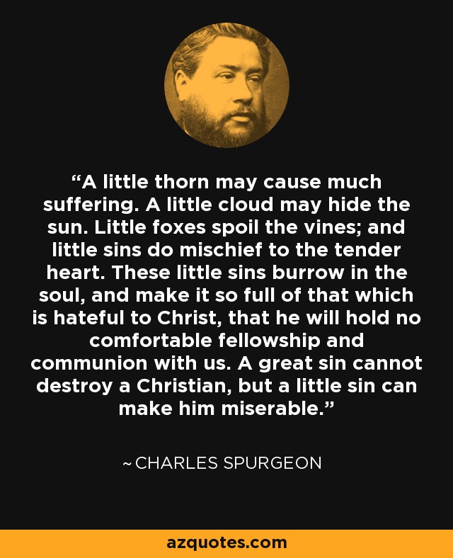 A little thorn may cause much suffering. A little cloud may hide the sun. Little foxes spoil the vines; and little sins do mischief to the tender heart. These little sins burrow in the soul, and make it so full of that which is hateful to Christ, that he will hold no comfortable fellowship and communion with us. A great sin cannot destroy a Christian, but a little sin can make him miserable. - Charles Spurgeon