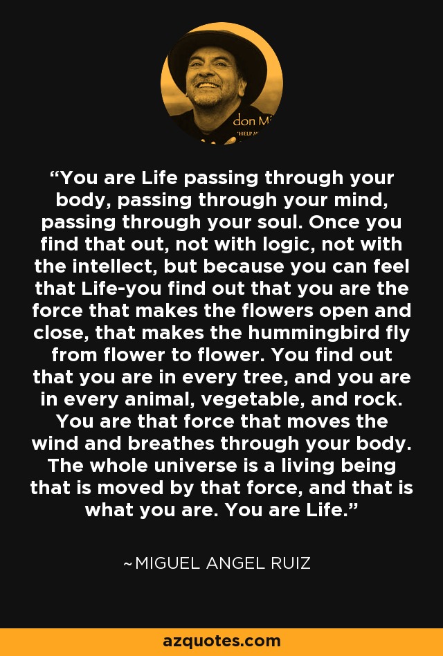 You are Life passing through your body, passing through your mind, passing through your soul. Once you find that out, not with logic, not with the intellect, but because you can feel that Life-you find out that you are the force that makes the flowers open and close, that makes the hummingbird fly from flower to flower. You find out that you are in every tree, and you are in every animal, vegetable, and rock. You are that force that moves the wind and breathes through your body. The whole universe is a living being that is moved by that force, and that is what you are. You are Life. - Miguel Angel Ruiz