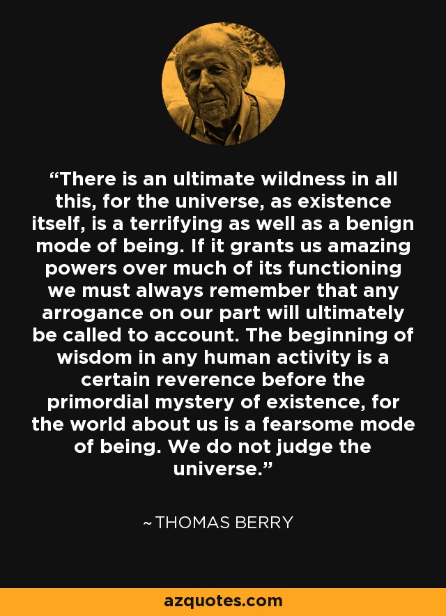 There is an ultimate wildness in all this, for the universe, as existence itself, is a terrifying as well as a benign mode of being. If it grants us amazing powers over much of its functioning we must always remember that any arrogance on our part will ultimately be called to account. The beginning of wisdom in any human activity is a certain reverence before the primordial mystery of existence, for the world about us is a fearsome mode of being. We do not judge the universe. - Thomas Berry