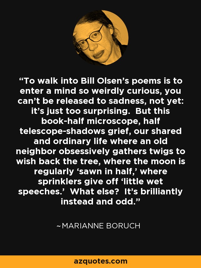 To walk into Bill Olsen's poems is to enter a mind so weirdly curious, you can't be released to sadness, not yet: it's just too surprising. But this book-half microscope, half telescope-shadows grief, our shared and ordinary life where an old neighbor obsessively gathers twigs to wish back the tree, where the moon is regularly ‘sawn in half,’ where sprinklers give off ‘little wet speeches.’ What else? It's brilliantly instead and odd. - Marianne Boruch