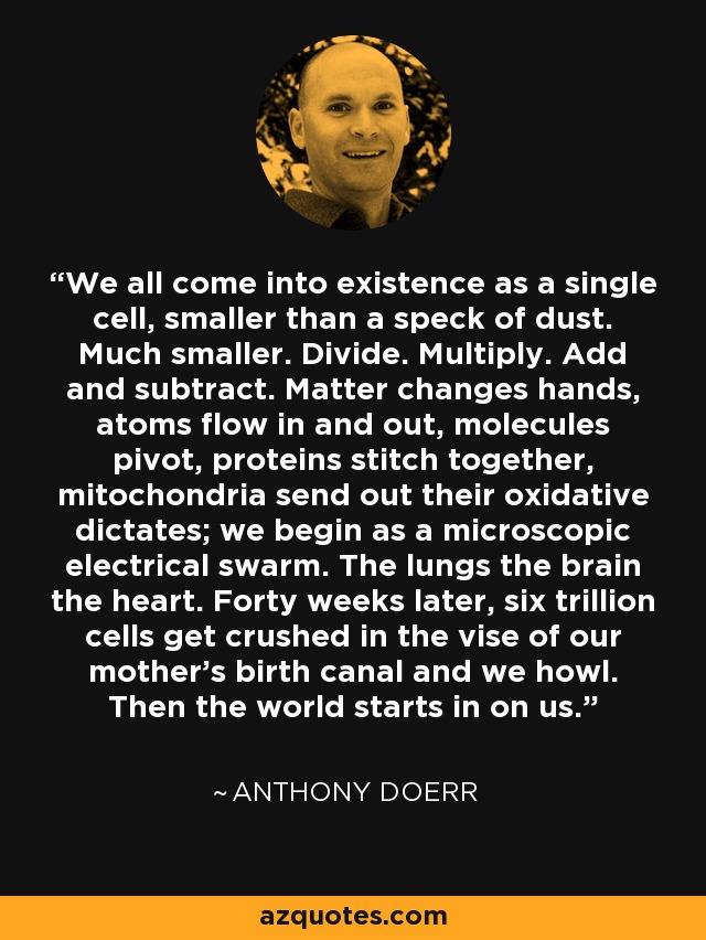 We all come into existence as a single cell, smaller than a speck of dust. Much smaller. Divide. Multiply. Add and subtract. Matter changes hands, atoms flow in and out, molecules pivot, proteins stitch together, mitochondria send out their oxidative dictates; we begin as a microscopic electrical swarm. The lungs the brain the heart. Forty weeks later, six trillion cells get crushed in the vise of our mother’s birth canal and we howl. Then the world starts in on us. - Anthony Doerr