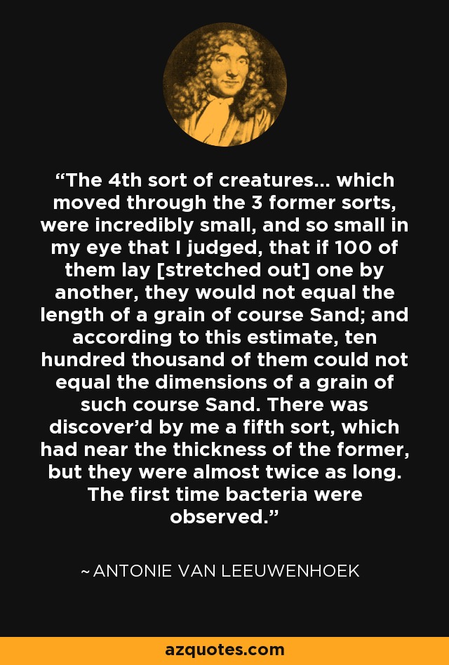 The 4th sort of creatures... which moved through the 3 former sorts, were incredibly small, and so small in my eye that I judged, that if 100 of them lay [stretched out] one by another, they would not equal the length of a grain of course Sand; and according to this estimate, ten hundred thousand of them could not equal the dimensions of a grain of such course Sand. There was discover'd by me a fifth sort, which had near the thickness of the former, but they were almost twice as long. The first time bacteria were observed. - Antonie van Leeuwenhoek