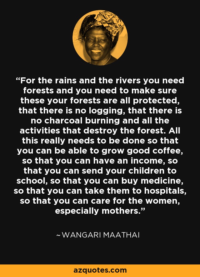 For the rains and the rivers you need forests and you need to make sure these your forests are all protected, that there is no logging, that there is no charcoal burning and all the activities that destroy the forest. All this really needs to be done so that you can be able to grow good coffee, so that you can have an income, so that you can send your children to school, so that you can buy medicine, so that you can take them to hospitals, so that you can care for the women, especially mothers. - Wangari Maathai