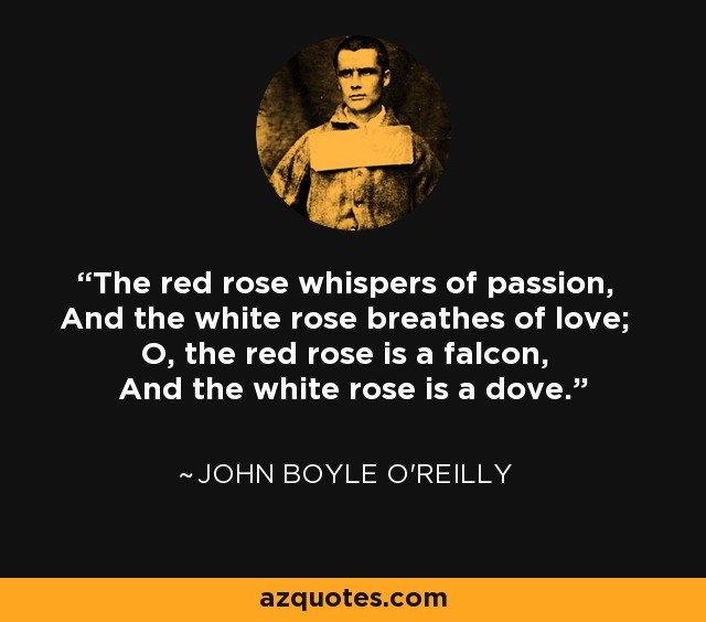 The red rose whispers of passion, And the white rose breathes of love; O, the red rose is a falcon, And the white rose is a dove. - John Boyle O'Reilly