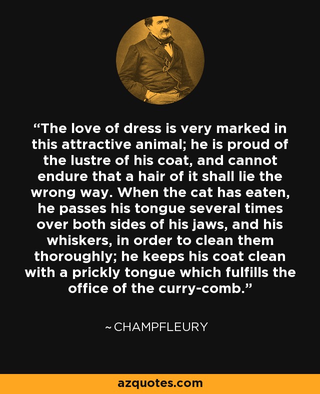 The love of dress is very marked in this attractive animal; he is proud of the lustre of his coat, and cannot endure that a hair of it shall lie the wrong way. When the cat has eaten, he passes his tongue several times over both sides of his jaws, and his whiskers, in order to clean them thoroughly; he keeps his coat clean with a prickly tongue which fulfills the office of the curry-comb. - Champfleury