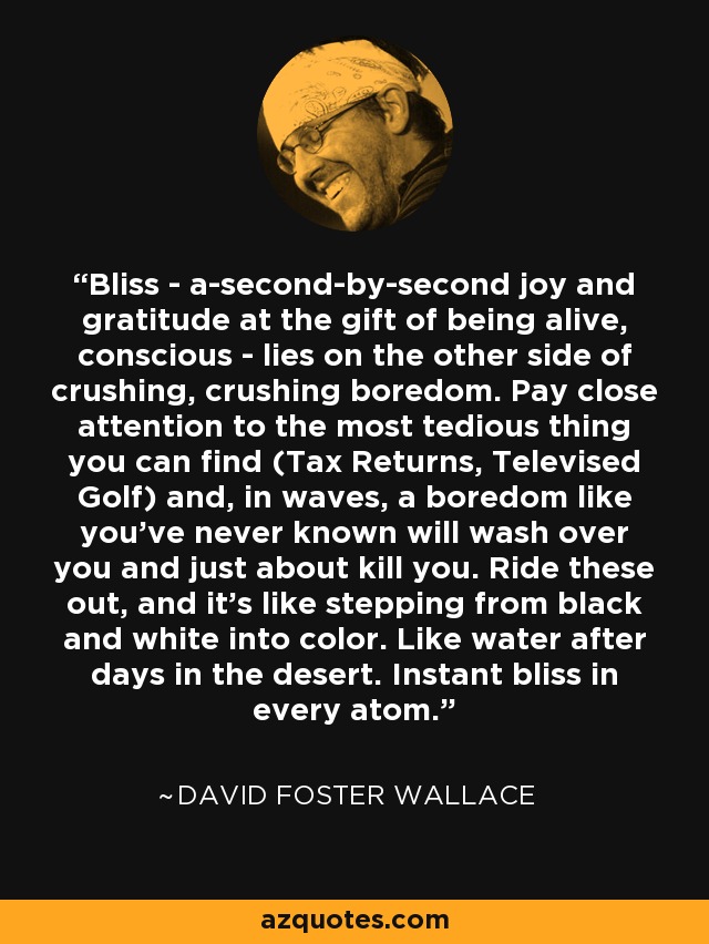 Bliss - a-second-by-second joy and gratitude at the gift of being alive, conscious - lies on the other side of crushing, crushing boredom. Pay close attention to the most tedious thing you can find (Tax Returns, Televised Golf) and, in waves, a boredom like you’ve never known will wash over you and just about kill you. Ride these out, and it’s like stepping from black and white into color. Like water after days in the desert. Instant bliss in every atom. - David Foster Wallace