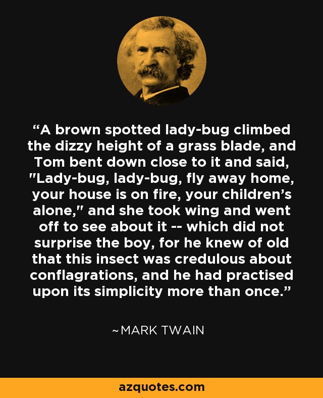 A brown spotted lady-bug climbed the dizzy height of a grass blade, and Tom bent down close to it and said, 