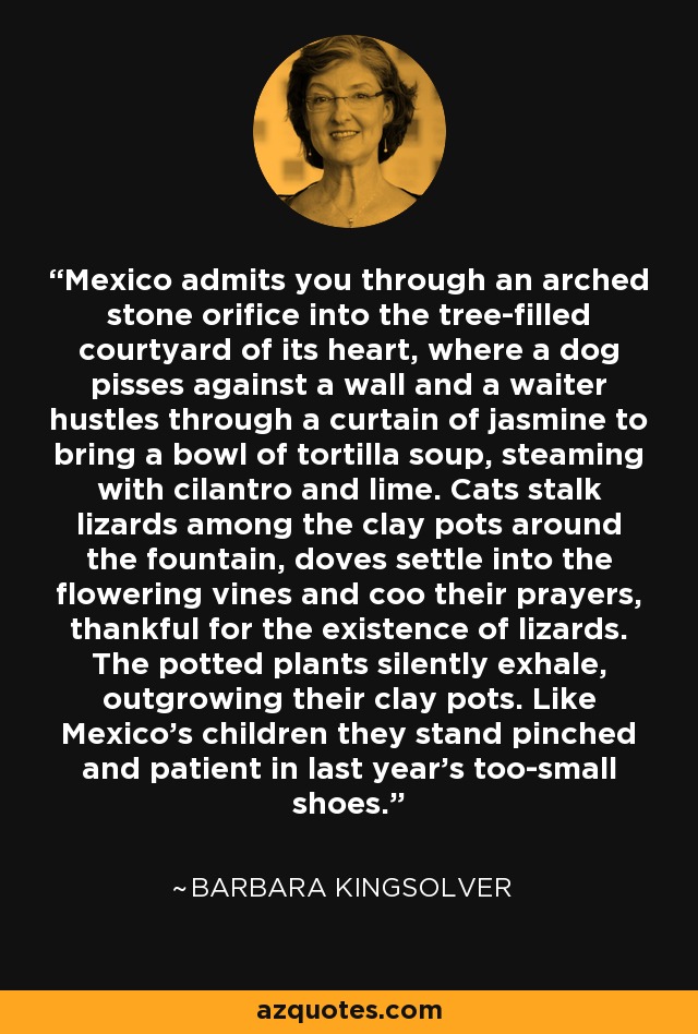 Mexico admits you through an arched stone orifice into the tree-filled courtyard of its heart, where a dog pisses against a wall and a waiter hustles through a curtain of jasmine to bring a bowl of tortilla soup, steaming with cilantro and lime. Cats stalk lizards among the clay pots around the fountain, doves settle into the flowering vines and coo their prayers, thankful for the existence of lizards. The potted plants silently exhale, outgrowing their clay pots. Like Mexico's children they stand pinched and patient in last year's too-small shoes. - Barbara Kingsolver