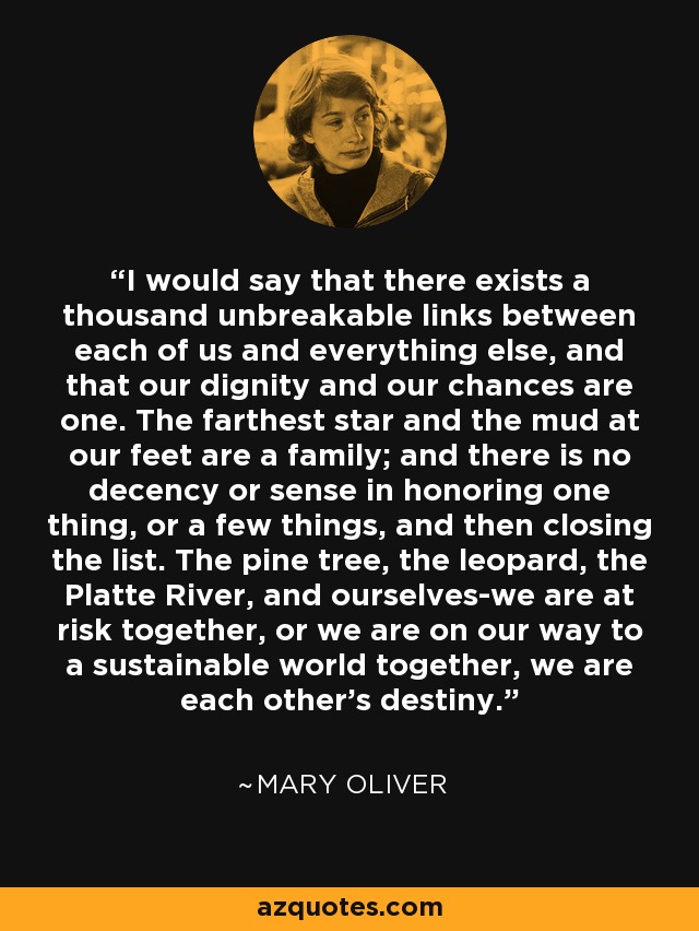 I would say that there exists a thousand unbreakable links between each of us and everything else, and that our dignity and our chances are one. The farthest star and the mud at our feet are a family; and there is no decency or sense in honoring one thing, or a few things, and then closing the list. The pine tree, the leopard, the Platte River, and ourselves-we are at risk together, or we are on our way to a sustainable world together, we are each other's destiny. - Mary Oliver