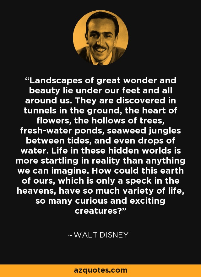 Landscapes of great wonder and beauty lie under our feet and all around us. They are discovered in tunnels in the ground, the heart of flowers, the hollows of trees, fresh-water ponds, seaweed jungles between tides, and even drops of water. Life in these hidden worlds is more startling in reality than anything we can imagine. How could this earth of ours, which is only a speck in the heavens, have so much variety of life, so many curious and exciting creatures? - Walt Disney