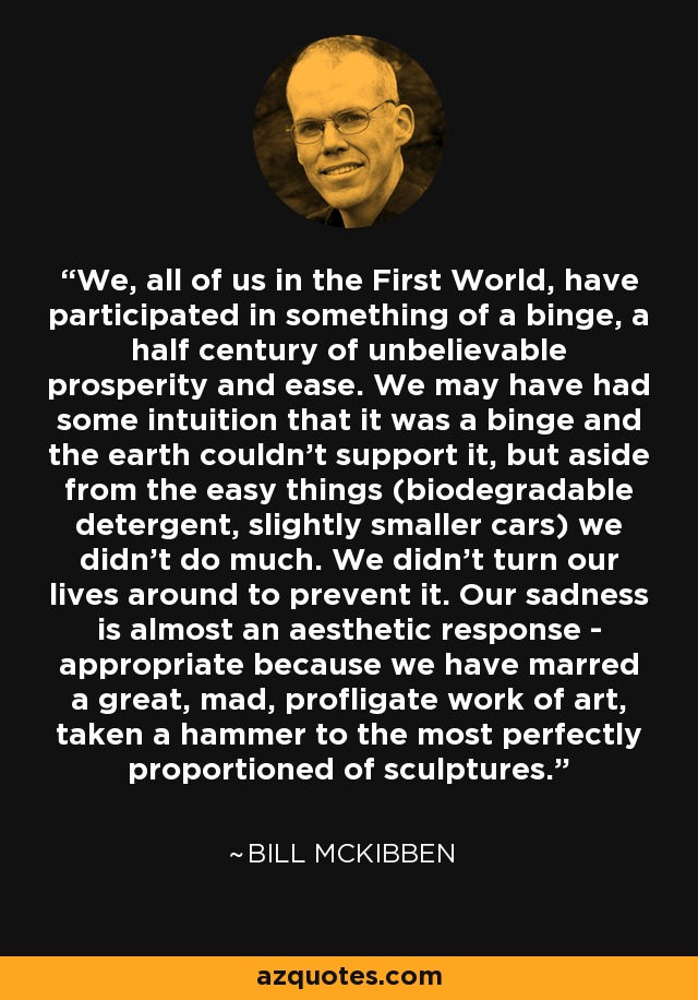 We, all of us in the First World, have participated in something of a binge, a half century of unbelievable prosperity and ease. We may have had some intuition that it was a binge and the earth couldn't support it, but aside from the easy things (biodegradable detergent, slightly smaller cars) we didn't do much. We didn't turn our lives around to prevent it. Our sadness is almost an aesthetic response - appropriate because we have marred a great, mad, profligate work of art, taken a hammer to the most perfectly proportioned of sculptures. - Bill McKibben