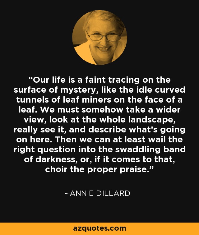 Our life is a faint tracing on the surface of mystery, like the idle curved tunnels of leaf miners on the face of a leaf. We must somehow take a wider view, look at the whole landscape, really see it, and describe what's going on here. Then we can at least wail the right question into the swaddling band of darkness, or, if it comes to that, choir the proper praise. - Annie Dillard