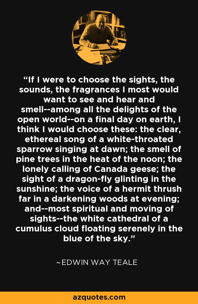 If I were to choose the sights, the sounds, the fragrances I most would want to see and hear and smell--among all the delights of the open world--on a final day on earth, I think I would choose these: the clear, ethereal song of a white-throated sparrow singing at dawn; the smell of pine trees in the heat of the noon; the lonely calling of Canada geese; the sight of a dragon-fly glinting in the sunshine; the voice of a hermit thrush far in a darkening woods at evening; and--most spiritual and moving of sights--the white cathedral of a cumulus cloud floating serenely in the blue of the sky. - Edwin Way Teale
