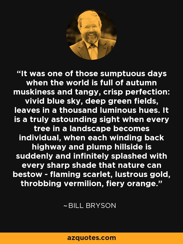 It was one of those sumptuous days when the world is full of autumn muskiness and tangy, crisp perfection: vivid blue sky, deep green fields, leaves in a thousand luminous hues. It is a truly astounding sight when every tree in a landscape becomes individual, when each winding back highway and plump hillside is suddenly and infinitely splashed with every sharp shade that nature can bestow - flaming scarlet, lustrous gold, throbbing vermilion, fiery orange. - Bill Bryson