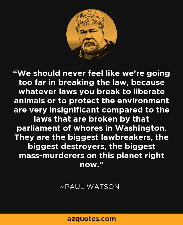 We should never feel like we're going too far in breaking the law, because whatever laws you break to liberate animals or to protect the environment are very insignificant compared to the laws that are broken by that parliament of whores in Washington. They are the biggest lawbreakers, the biggest destroyers, the biggest mass-murderers on this planet right now. - Paul Watson