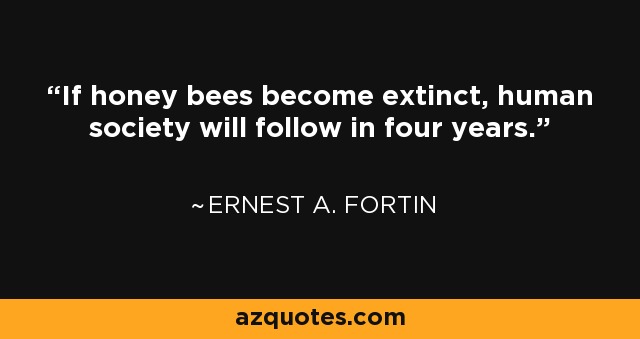 If honey bees become extinct, human society will follow in four years. - Ernest A. Fortin