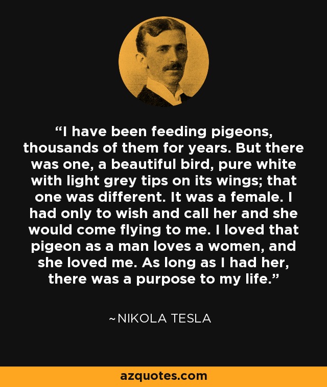 I have been feeding pigeons, thousands of them for years. But there was one, a beautiful bird, pure white with light grey tips on its wings; that one was different. It was a female. I had only to wish and call her and she would come flying to me. I loved that pigeon as a man loves a women, and she loved me. As long as I had her, there was a purpose to my life. - Nikola Tesla