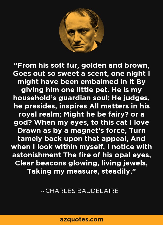 From his soft fur, golden and brown, Goes out so sweet a scent, one night I might have been embalmed in it By giving him one little pet. He is my household's guardian soul; He judges, he presides, inspires All matters in his royal realm; Might he be fairy? or a god? When my eyes, to this cat I love Drawn as by a magnet's force, Turn tamely back upon that appeal, And when I look within myself, I notice with astonishment The fire of his opal eyes, Clear beacons glowing, living jewels, Taking my measure, steadily. - Charles Baudelaire