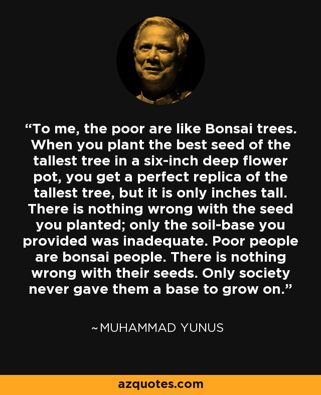 To me, the poor are like Bonsai trees. When you plant the best seed of the tallest tree in a six-inch deep flower pot, you get a perfect replica of the tallest tree, but it is only inches tall. There is nothing wrong with the seed you planted; only the soil-base you provided was inadequate. Poor people are bonsai people. There is nothing wrong with their seeds. Only society never gave them a base to grow on. - Muhammad Yunus
