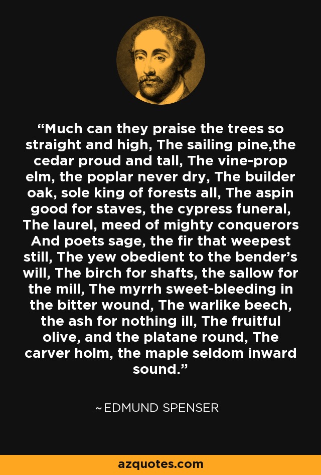 Much can they praise the trees so straight and high, The sailing pine,the cedar proud and tall, The vine-prop elm, the poplar never dry, The builder oak, sole king of forests all, The aspin good for staves, the cypress funeral, The laurel, meed of mighty conquerors And poets sage, the fir that weepest still, The yew obedient to the bender's will, The birch for shafts, the sallow for the mill, The myrrh sweet-bleeding in the bitter wound, The warlike beech, the ash for nothing ill, The fruitful olive, and the platane round, The carver holm, the maple seldom inward sound. - Edmund Spenser