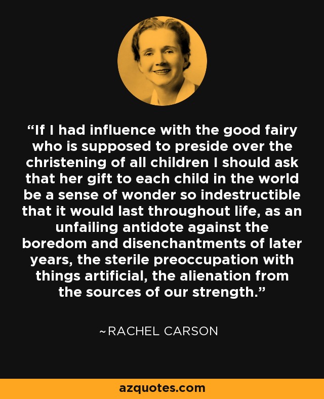If I had influence with the good fairy who is supposed to preside over the christening of all children I should ask that her gift to each child in the world be a sense of wonder so indestructible that it would last throughout life, as an unfailing antidote against the boredom and disenchantments of later years, the sterile preoccupation with things artificial, the alienation from the sources of our strength. - Rachel Carson