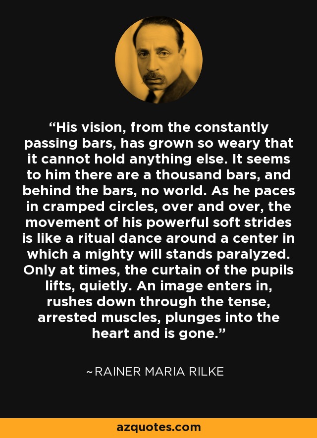 His vision, from the constantly passing bars, has grown so weary that it cannot hold anything else. It seems to him there are a thousand bars, and behind the bars, no world. As he paces in cramped circles, over and over, the movement of his powerful soft strides is like a ritual dance around a center in which a mighty will stands paralyzed. Only at times, the curtain of the pupils lifts, quietly. An image enters in, rushes down through the tense, arrested muscles, plunges into the heart and is gone. - Rainer Maria Rilke