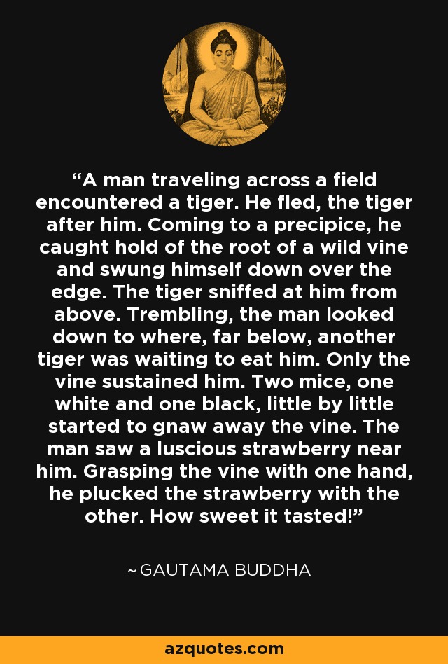 A man traveling across a field encountered a tiger. He fled, the tiger after him. Coming to a precipice, he caught hold of the root of a wild vine and swung himself down over the edge. The tiger sniffed at him from above. Trembling, the man looked down to where, far below, another tiger was waiting to eat him. Only the vine sustained him. Two mice, one white and one black, little by little started to gnaw away the vine. The man saw a luscious strawberry near him. Grasping the vine with one hand, he plucked the strawberry with the other. How sweet it tasted! - Gautama Buddha