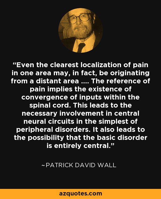 Even the clearest localization of pain in one area may, in fact, be originating from a distant area .... The reference of pain implies the existence of convergence of inputs within the spinal cord. This leads to the necessary involvement in central neural circuits in the simplest of peripheral disorders. It also leads to the possibility that the basic disorder is entirely central. - Patrick David Wall