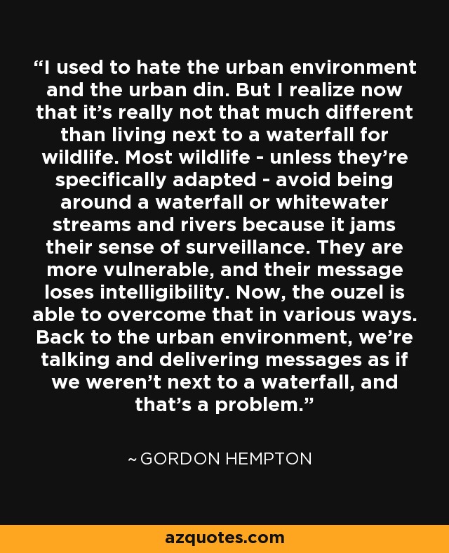 I used to hate the urban environment and the urban din. But I realize now that it's really not that much different than living next to a waterfall for wildlife. Most wildlife - unless they're specifically adapted - avoid being around a waterfall or whitewater streams and rivers because it jams their sense of surveillance. They are more vulnerable, and their message loses intelligibility. Now, the ouzel is able to overcome that in various ways. Back to the urban environment, we're talking and delivering messages as if we weren't next to a waterfall, and that's a problem. - Gordon Hempton