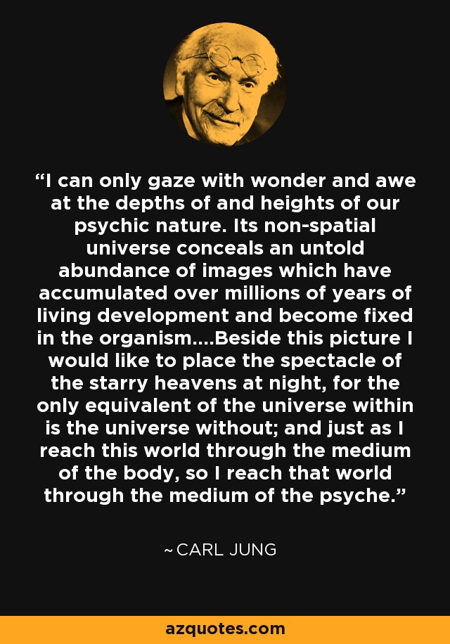 Carl Jung I only gaze wonder and awe at