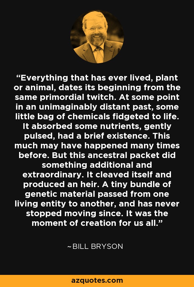 Everything that has ever lived, plant or animal, dates its beginning from the same primordial twitch. At some point in an unimaginably distant past, some little bag of chemicals fidgeted to life. It absorbed some nutrients, gently pulsed, had a brief existence. This much may have happened many times before. But this ancestral packet did something additional and extraordinary. It cleaved itself and produced an heir. A tiny bundle of genetic material passed from one living entity to another, and has never stopped moving since. It was the moment of creation for us all. - Bill Bryson