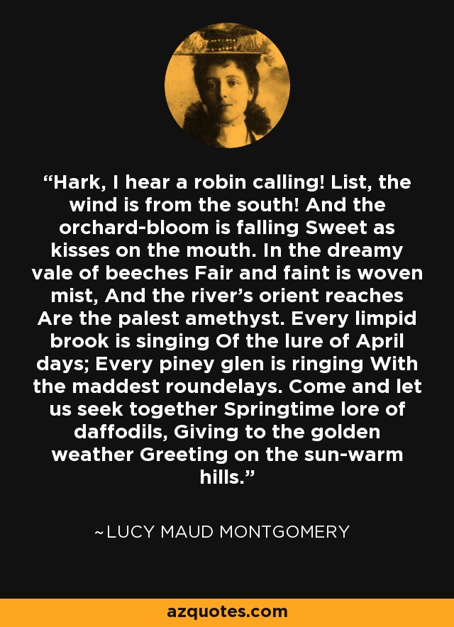 Hark, I hear a robin calling! List, the wind is from the south! And the orchard-bloom is falling Sweet as kisses on the mouth. In the dreamy vale of beeches Fair and faint is woven mist, And the river's orient reaches Are the palest amethyst. Every limpid brook is singing Of the lure of April days; Every piney glen is ringing With the maddest roundelays. Come and let us seek together Springtime lore of daffodils, Giving to the golden weather Greeting on the sun-warm hills. - Lucy Maud Montgomery