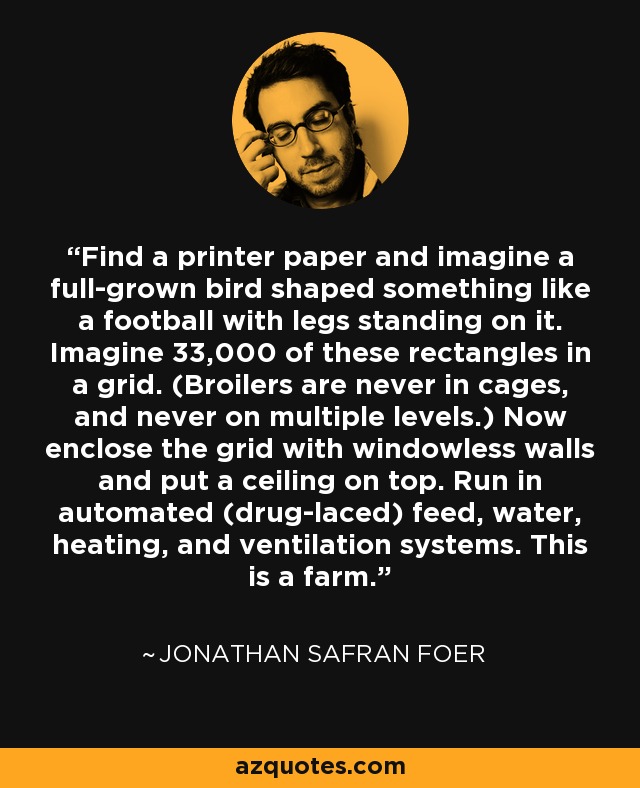 Find a printer paper and imagine a full-grown bird shaped something like a football with legs standing on it. Imagine 33,000 of these rectangles in a grid. (Broilers are never in cages, and never on multiple levels.) Now enclose the grid with windowless walls and put a ceiling on top. Run in automated (drug-laced) feed, water, heating, and ventilation systems. This is a farm. - Jonathan Safran Foer