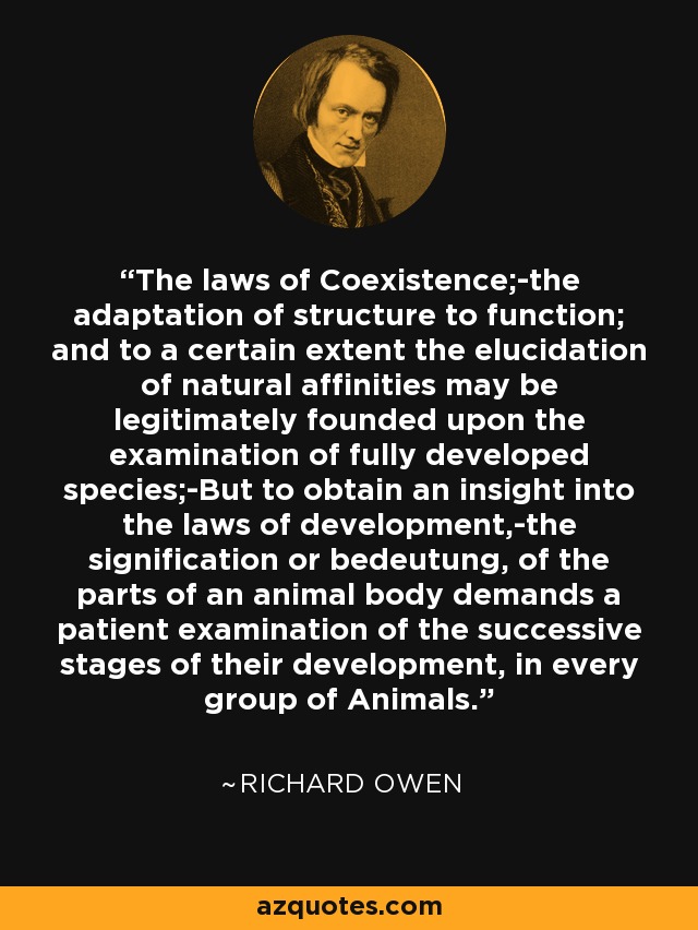 The laws of Coexistence;-the adaptation of structure to function; and to a certain extent the elucidation of natural affinities may be legitimately founded upon the examination of fully developed species;-But to obtain an insight into the laws of development,-the signification or bedeutung, of the parts of an animal body demands a patient examination of the successive stages of their development, in every group of Animals. - Richard Owen