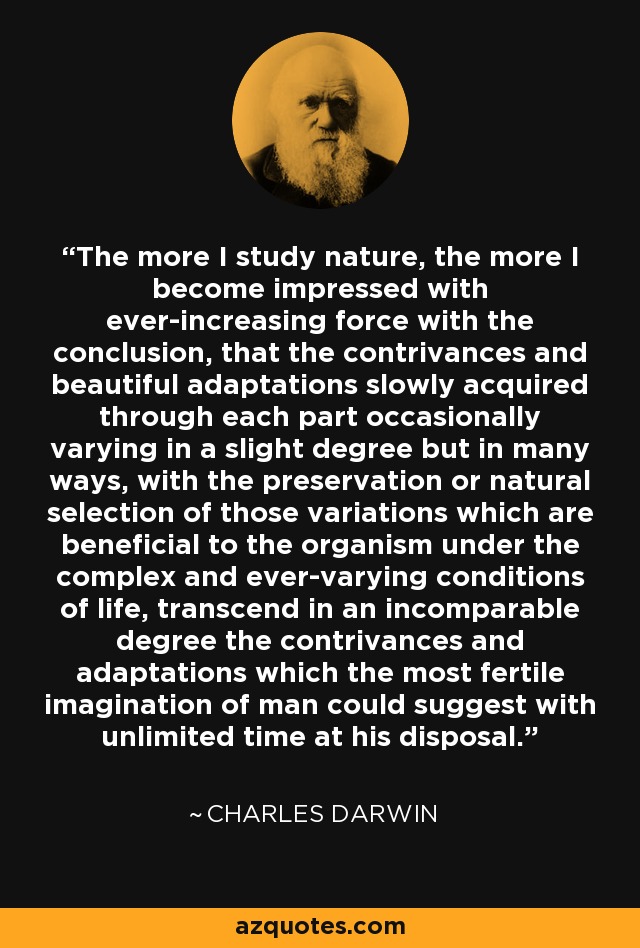 The more I study nature, the more I become impressed with ever-increasing force with the conclusion, that the contrivances and beautiful adaptations slowly acquired through each part occasionally varying in a slight degree but in many ways, with the preservation or natural selection of those variations which are beneficial to the organism under the complex and ever-varying conditions of life, transcend in an incomparable degree the contrivances and adaptations which the most fertile imagination of man could suggest with unlimited time at his disposal. - Charles Darwin