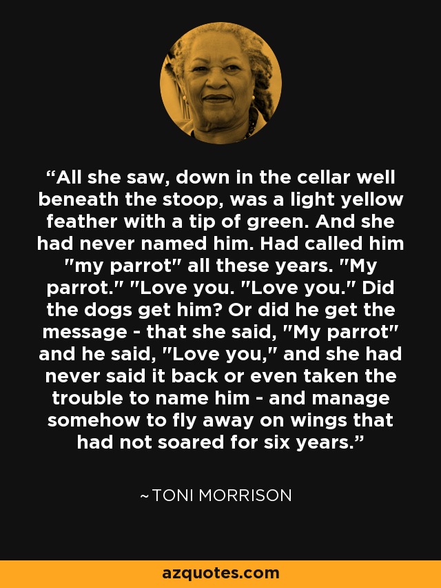 All she saw, down in the cellar well beneath the stoop, was a light yellow feather with a tip of green. And she had never named him. Had called him 