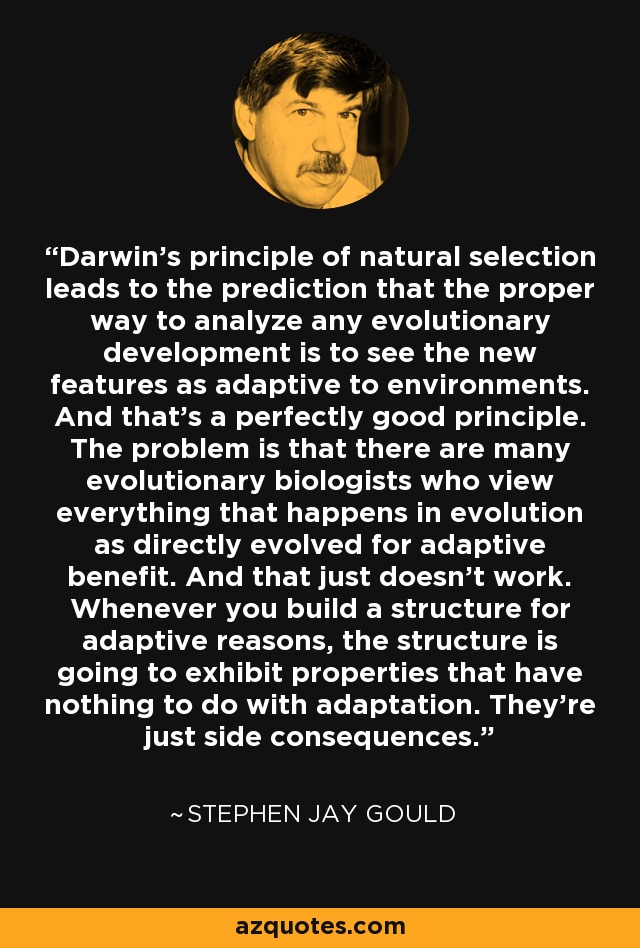 Darwin's principle of natural selection leads to the prediction that the proper way to analyze any evolutionary development is to see the new features as adaptive to environments. And that's a perfectly good principle. The problem is that there are many evolutionary biologists who view everything that happens in evolution as directly evolved for adaptive benefit. And that just doesn't work. Whenever you build a structure for adaptive reasons, the structure is going to exhibit properties that have nothing to do with adaptation. They're just side consequences. - Stephen Jay Gould