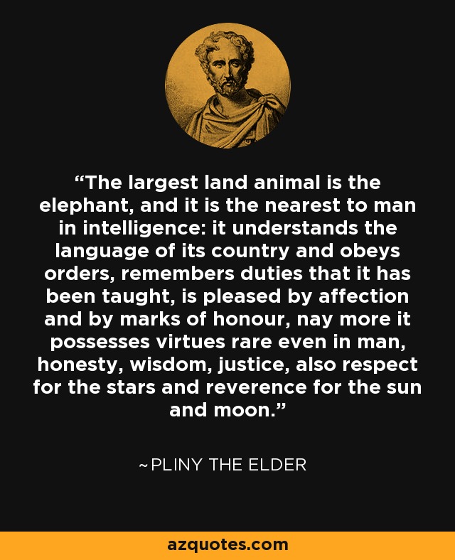 The largest land animal is the elephant, and it is the nearest to man in intelligence: it understands the language of its country and obeys orders, remembers duties that it has been taught, is pleased by affection and by marks of honour, nay more it possesses virtues rare even in man, honesty, wisdom, justice, also respect for the stars and reverence for the sun and moon. - Pliny the Elder