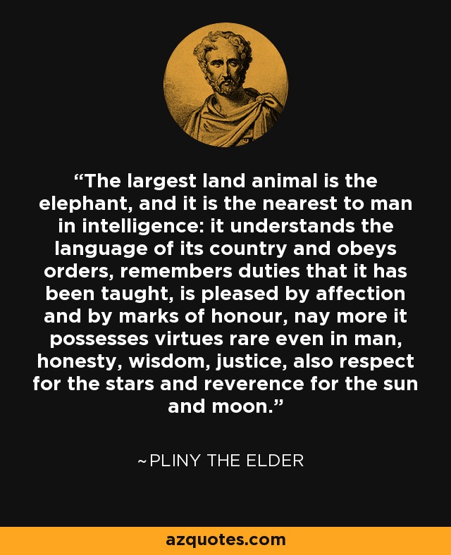 The largest land animal is the elephant, and it is the nearest to man in intelligence: it understands the language of its country and obeys orders, remembers duties that it has been taught, is pleased by affection and by marks of honour, nay more it possesses virtues rare even in man, honesty, wisdom, justice, also respect for the stars and reverence for the sun and moon. - Pliny the Elder