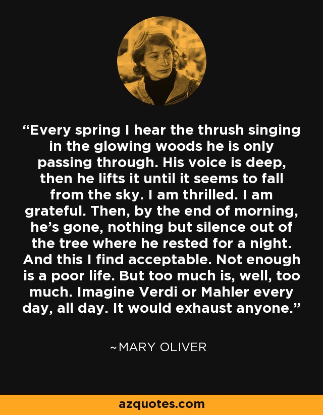 Every spring I hear the thrush singing in the glowing woods he is only passing through. His voice is deep, then he lifts it until it seems to fall from the sky. I am thrilled. I am grateful. Then, by the end of morning, he's gone, nothing but silence out of the tree where he rested for a night. And this I find acceptable. Not enough is a poor life. But too much is, well, too much. Imagine Verdi or Mahler every day, all day. It would exhaust anyone. - Mary Oliver