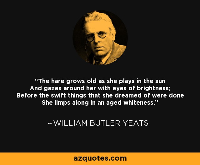 The hare grows old as she plays in the sun And gazes around her with eyes of brightness; Before the swift things that she dreamed of were done She limps along in an aged whiteness. - William Butler Yeats